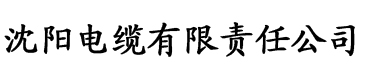 樱桃APP污电缆厂logo